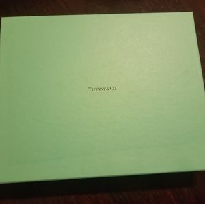 Tiffany & Co Peweter Picture Frame 8X10 New
